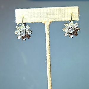 Chloe and isabel Earrings